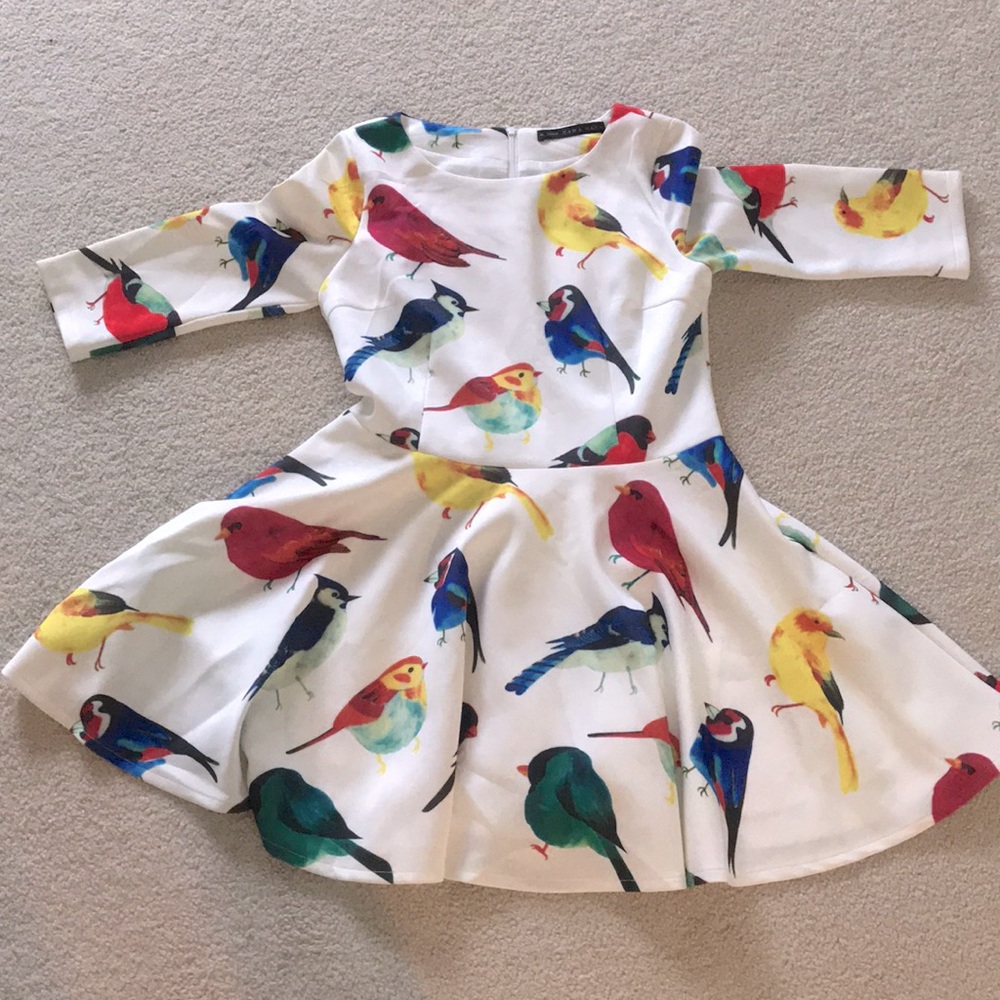 Zara dress